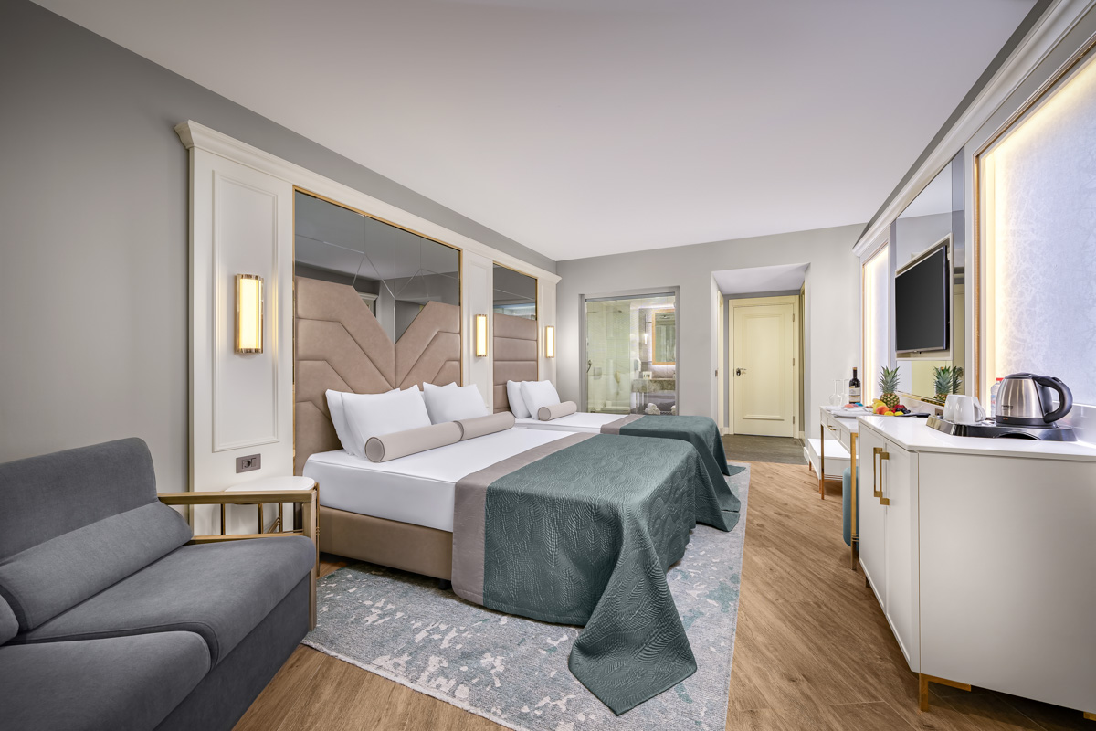 Deluxe Room Partial View